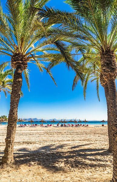 Beautiful seaside on Mallorca island, beach Platja de Alcudia by Alex Winter