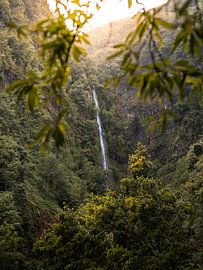 Enchanting waterfall in Madeira