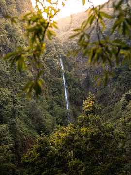 Betoverende waterval in Madeira van Visuals by Justin