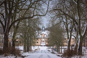 Winterallee am Gut Beberbeck