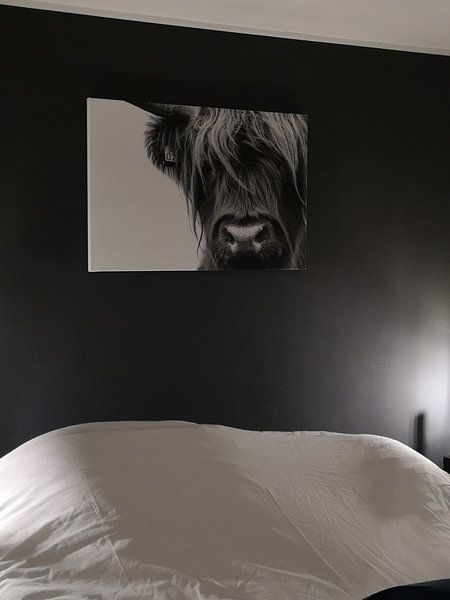 Customer photo: Portrait Scottish Highlander black and white by Sandra van Kampen, on canvas