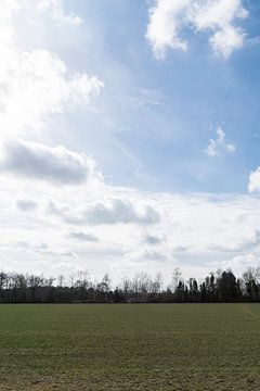 Weiland met Hollands Licht van Lieke van Grinsven van Aarle