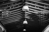 The Roof