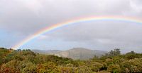 Costa Rica: Regenboog bij Los Tornos van Maarten Verhees thumbnail