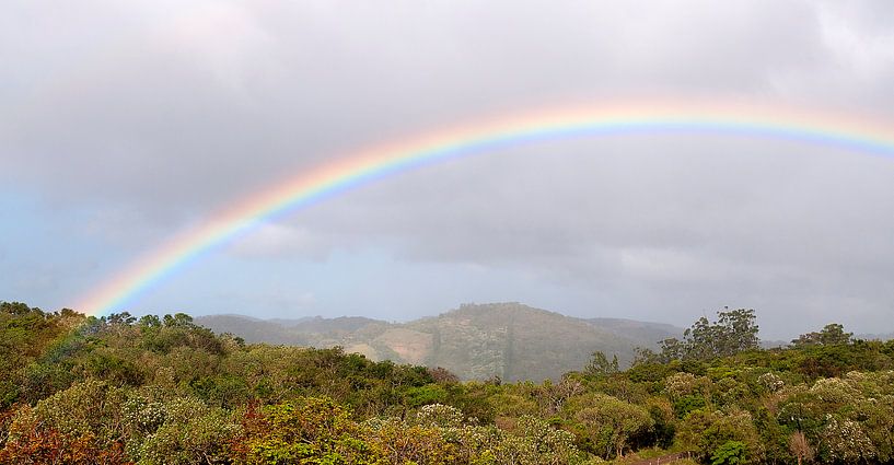 Costa Rica: Regenboog bij Los Tornos van Maarten Verhees
