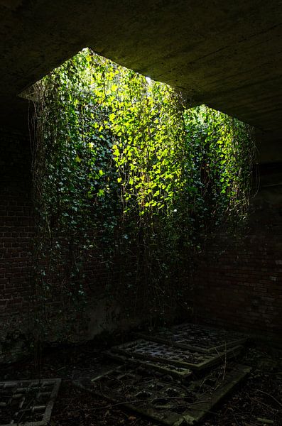 De hangende tuinen van Babylon by Jaco Verheul