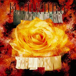 Roses Color the Week, Monday by Helga Blanke