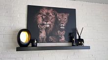 Klantfoto: leeuwen gezin met welpjes van Bert Hooijer, op canvas