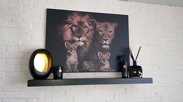 Klantfoto: leeuwen gezin met welpjes
