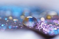 Disco ball