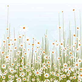 Blumenfeld von Color Square