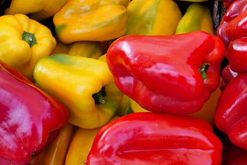 Paprika Rot - Gelb
