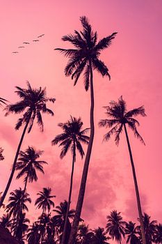 Los Angeles - Wandkunstdrucke - Reisefotografie