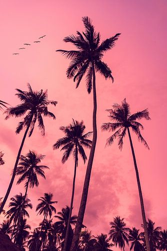 Los Angeles - Wandkunstdrucke - Reisefotografie