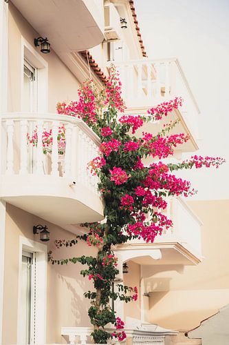 Balcon avec des fleurs Grèce
