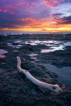 Costa Rica's Kleurenpracht