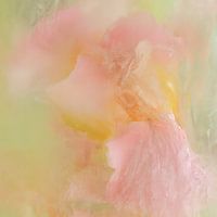 Fleurs dans la glace, couleurs pastel rose, jaune et vert