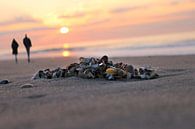 Going to the sunset together. by geen poeha thumbnail
