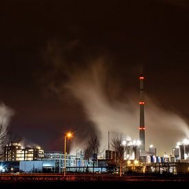 Industrie stoompluim op de Chemelot Campus in Geleen van Dorus Marchal