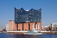 Elbphilharmonie, HafenCity, Hamburg von Markus Lange Miniaturansicht