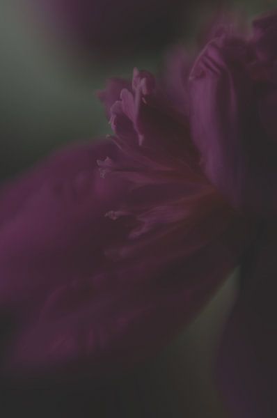it's all so quiet by Anne Pfaff