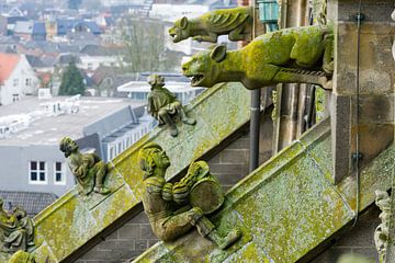 Test by Gerlo Beernink