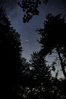 Andromeda and Mars