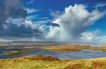 Vredige, verlaten plekken in Schotland. Veenmoerassen, zure grassen, overstroomde wetlands met weinig vegetatie. van Jakob Baranowski - Photography - Video - Photoshop