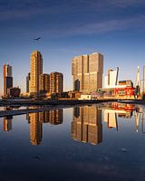 Reflectie op Zuid