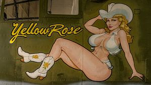 Nose Art: Gelbe Rose auf North American B-25J Mitchell.