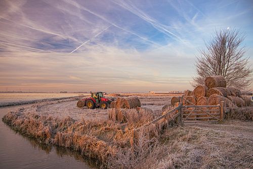 Dawn; This farmer was working early on this beautiful winter day with the frost still on the fields.