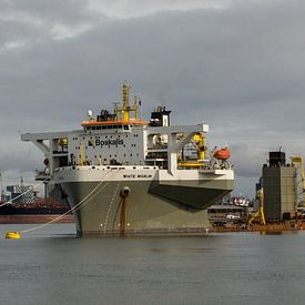 Ein Panorama des Waalhavens mit der White Marlin von scheepskijkerhavenfotografie