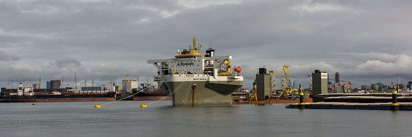 A panorama of the Waalhaven with the White Marlin by scheepskijkerhavenfotografie