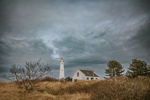 Tour sud de Schiermonnikoog sur Nickie Fotografie