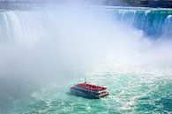 Le souffleur de corne aux chutes du Niagara par Henk Meijer Photography Aperçu