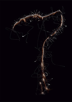 Scribble Art