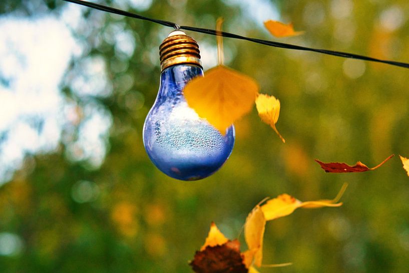 Am Baum hängende Lichterkette. Gartenparty von Martin Köbsch