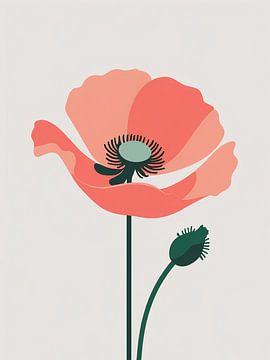 Coral Poppy by Giandra Safaraz