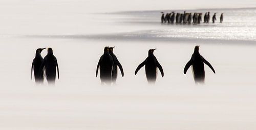 Ze zijn ook altijd te laat.... van Claudia van Zanten
