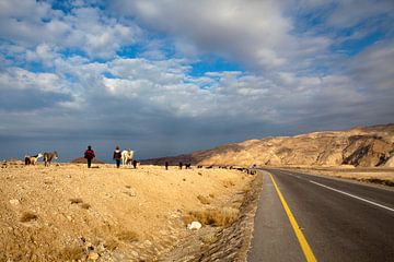 Bedoeïenen op pad met hun geiten langs de Koninklijke Weg in Jordanië van WorldWidePhotoWeb