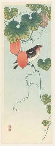 Singvogel in Gurkenpflanze, Ohara Koson