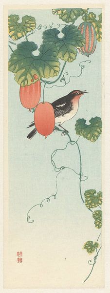 Singvogel in Gurkenpflanze, Ohara Koson von Creative Masters