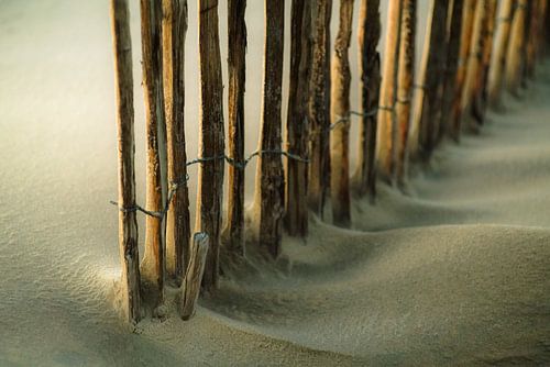 Strand en kust