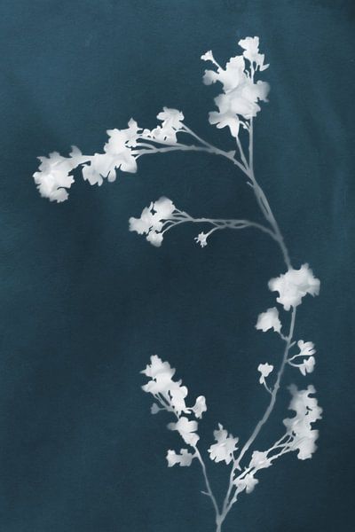 Monographie Fleurs bleues par amini54 