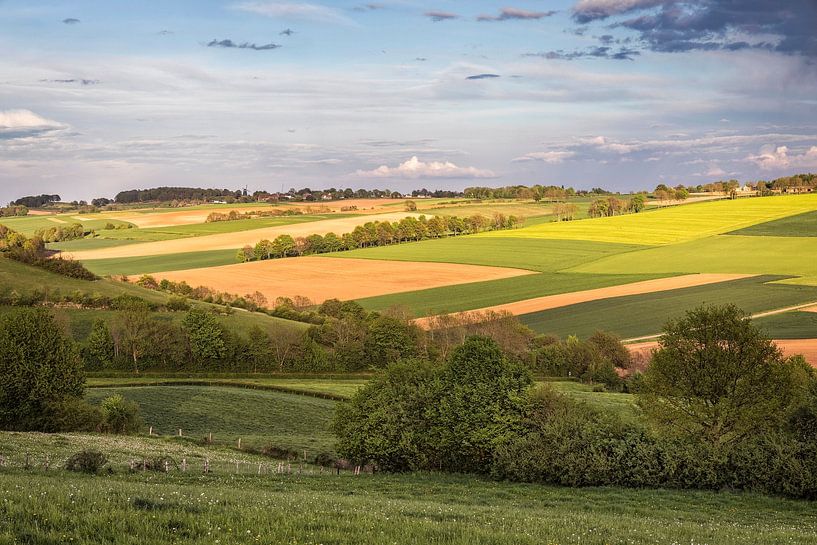 Ransdalerveld @ Fromberg by Rob Boon