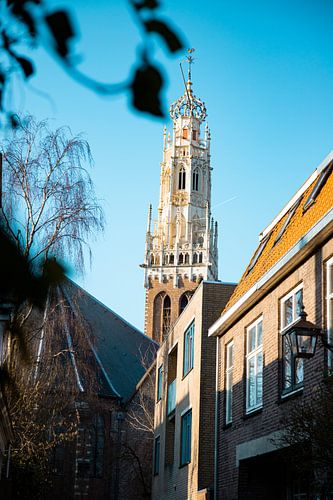 Uitzicht op Bakenesserkerk in Haarlem