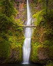 Multnomah Falls, Oregon von Henk Meijer Photography Miniaturansicht
