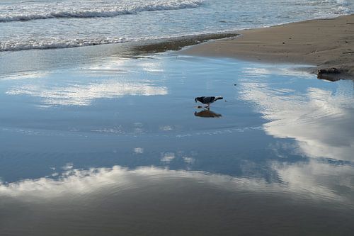 Reflectie van de lucht op het zandstrand 2