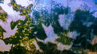 Abstract 10