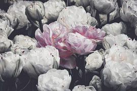 Standing out of the crowd